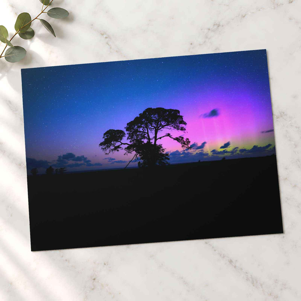 Tree in Field with Purple and Blue Sky Photography Print (7 Sizes) - Frameable