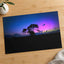 Tree in Field with Purple and Blue Sky Photography Print (7 Sizes) - Frameable