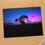 Tree in Field with Purple and Blue Sky Photo Print Wall Decor