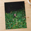 Brown Bear Walking Through Lush Green Forest California Photo Wall Art (7 Sizes)