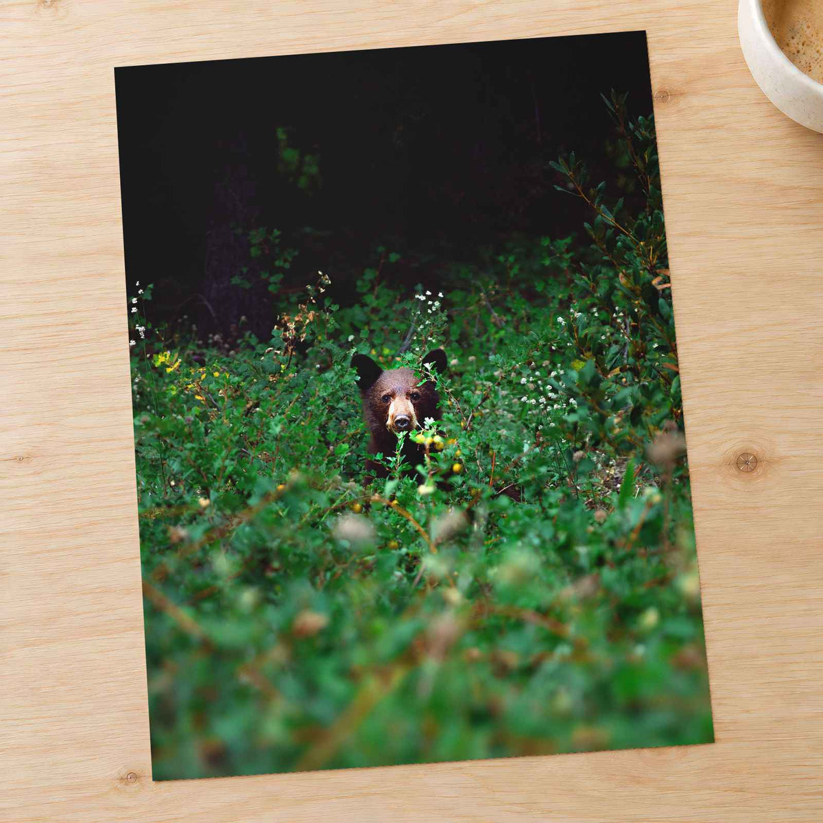 Brown Bear Walking Through Lush Green Forest California Photo Wall Art (7 Sizes)