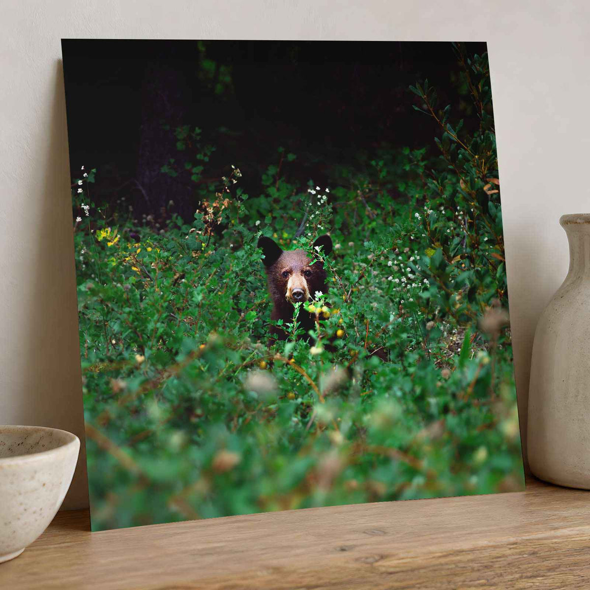 Brown Bear Walking Through Lush Green Forest California Photo Wall Art (7 Sizes)
