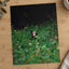 Brown Bear Walking Through Lush Green Forest California Photo Wall Art (7 Sizes)