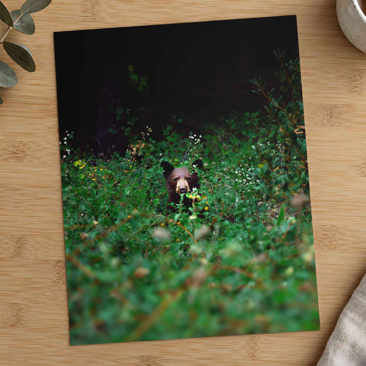 Brown Bear Walking Through Lush Green Forest California Photo Wall Art (7 Sizes)