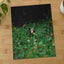 Brown Bear Walking Through Lush Green Forest by Joshua Earle Photo Print Wall Decor