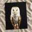 Beautiful Portrait of Snowy Owl Photo Wall Art (7 Sizes) - Premium Quality