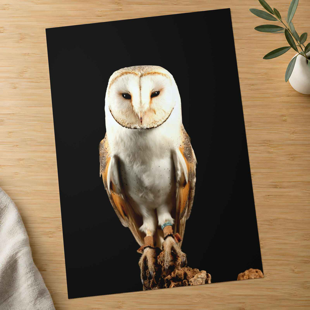 Beautiful Portrait of Snowy Owl Photo Wall Art (7 Sizes) - Premium Quality