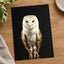 Beautiful Portrait of Snowy Owl Photo Wall Art (7 Sizes) - Premium Quality
