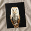Beautiful Portrait of Snowy Owl Photo Wall Art (7 Sizes) - Premium Quality