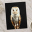 Beautiful Portrait of Snowy Owl Photo Print Wall Decor