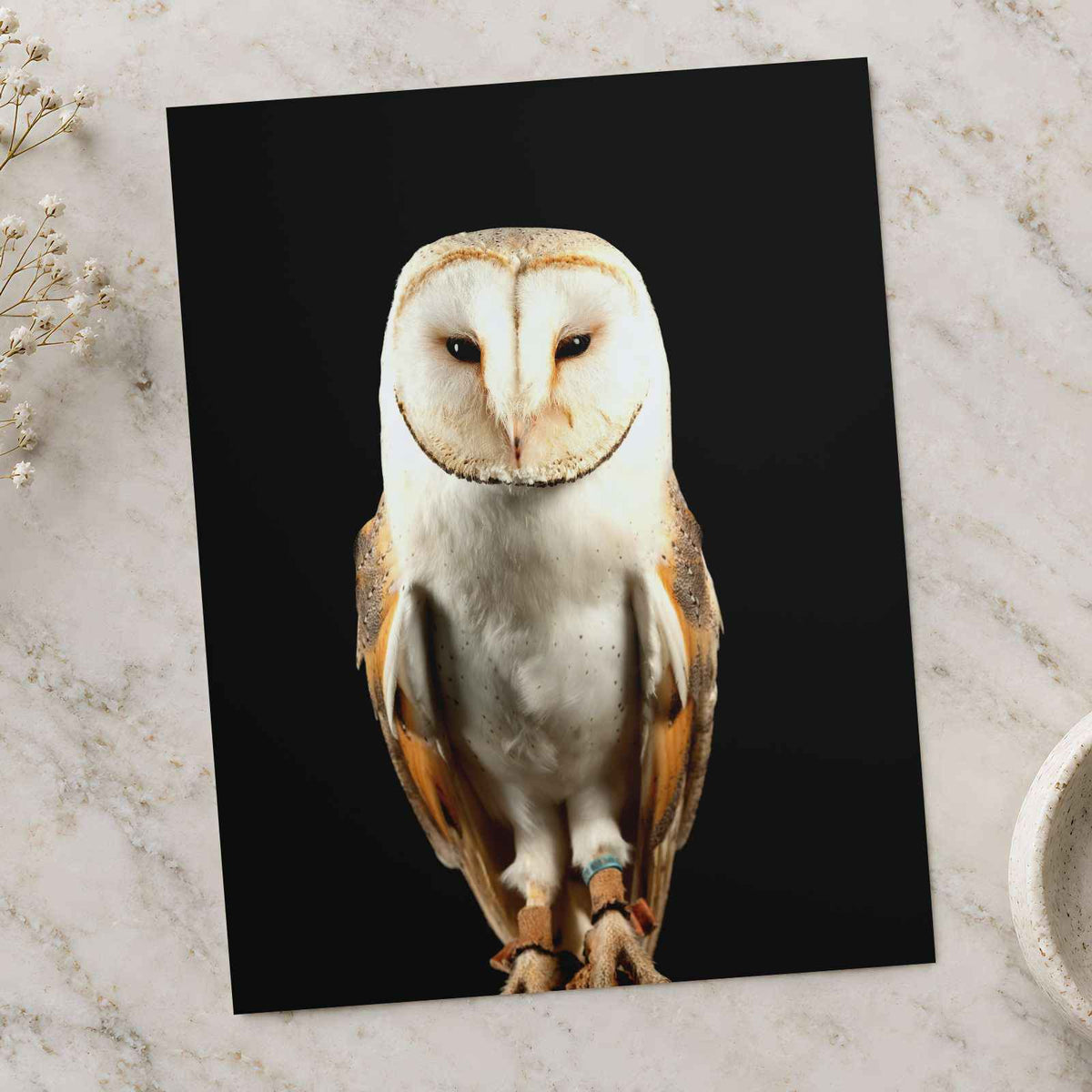 Beautiful Portrait of Snowy Owl Photo Print Wall Decor