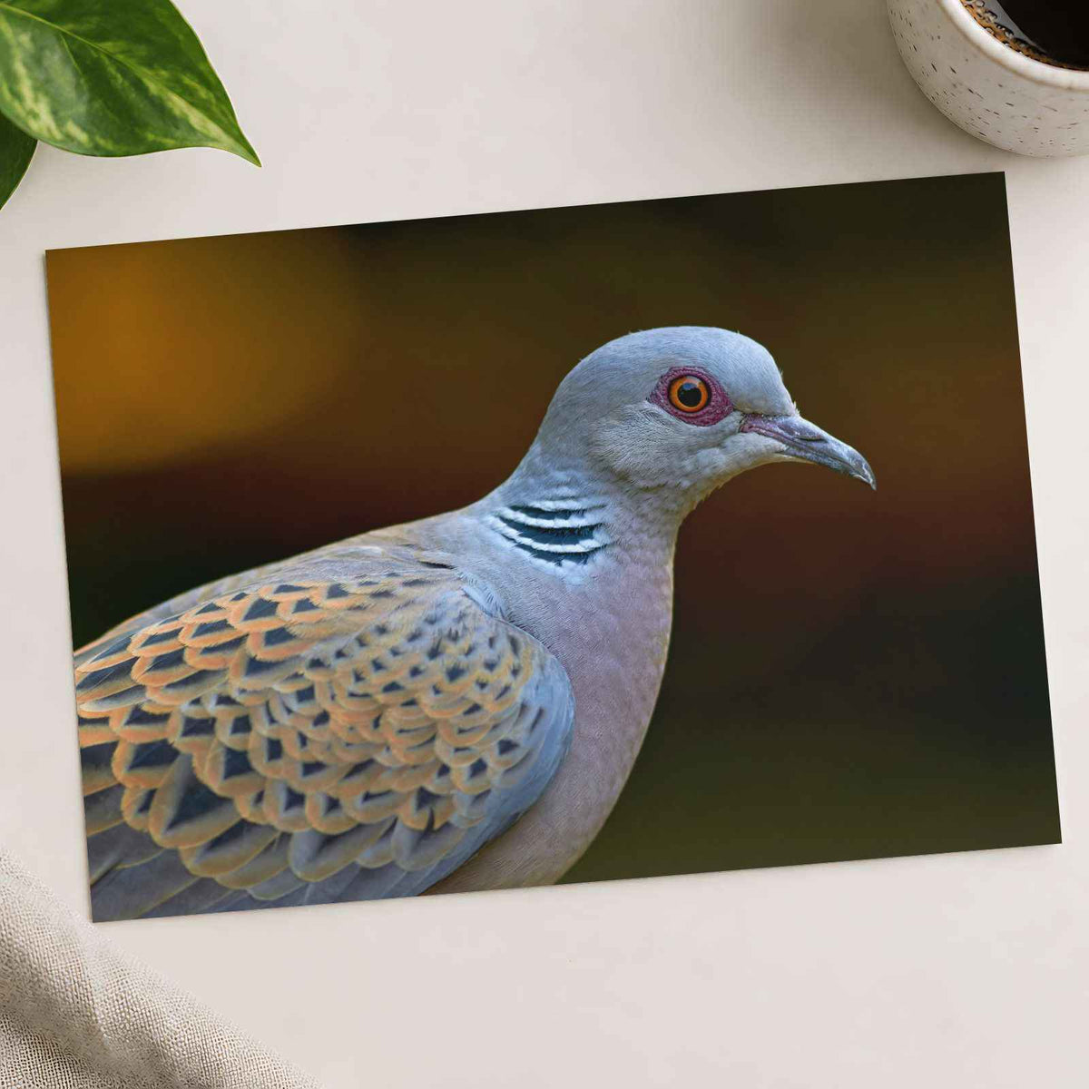 Bird Close Up Photography Print (7 Sizes) - Frameable