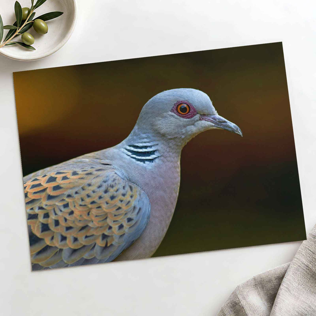 Bird Close Up Photography Print (7 Sizes) - Frameable