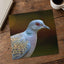 Bird Close Up Photography Print (7 Sizes) - Frameable