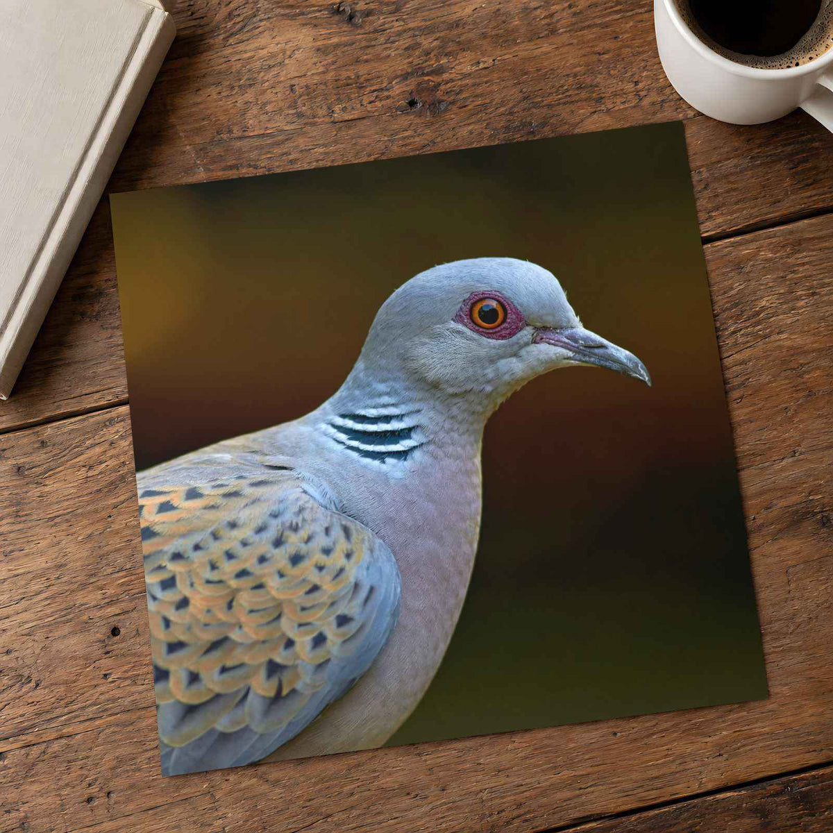 Bird Close Up Photography Print (7 Sizes) - Frameable