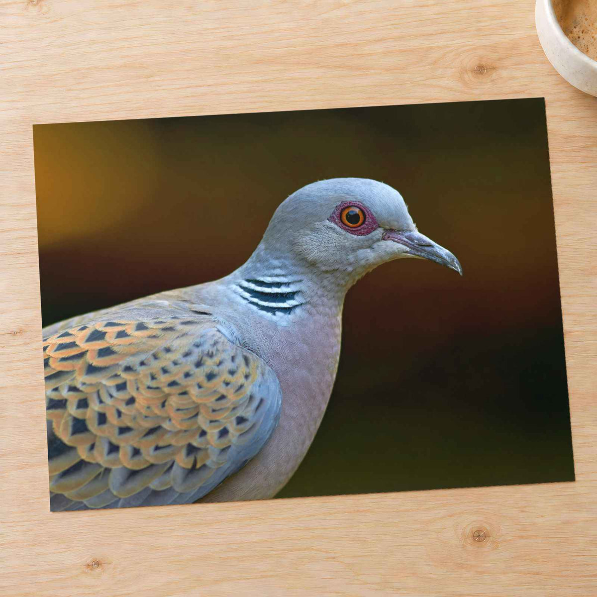 Bird Close Up by Zdeněk Macháček Photo Print Wall Decor