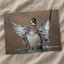 Male Wood Duck in Pennsylvania Stream Photo Wall Art (7 Sizes) - Frameable