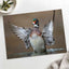 Male Wood Duck in Pennsylvania Stream Photo Print Wall Decor