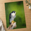 Beautiful Peregrine Falcon Photo Wall Art (7 Sizes) - Crisp Detail