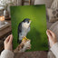 Beautiful Peregrine Falcon Photo Wall Art (7 Sizes) - Crisp Detail