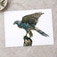 Northern Goshawk on White Background Photo Wall Print (7 Sizes) - Heavyweight