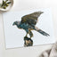 Northern Goshawk on White Background Photo Print Wall Decor