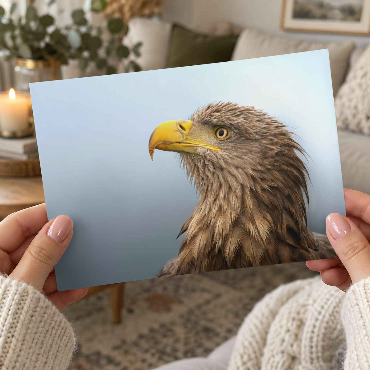 White-Tailed Eagle Photographic Art Print (7 Sizes) - Crisp Detail