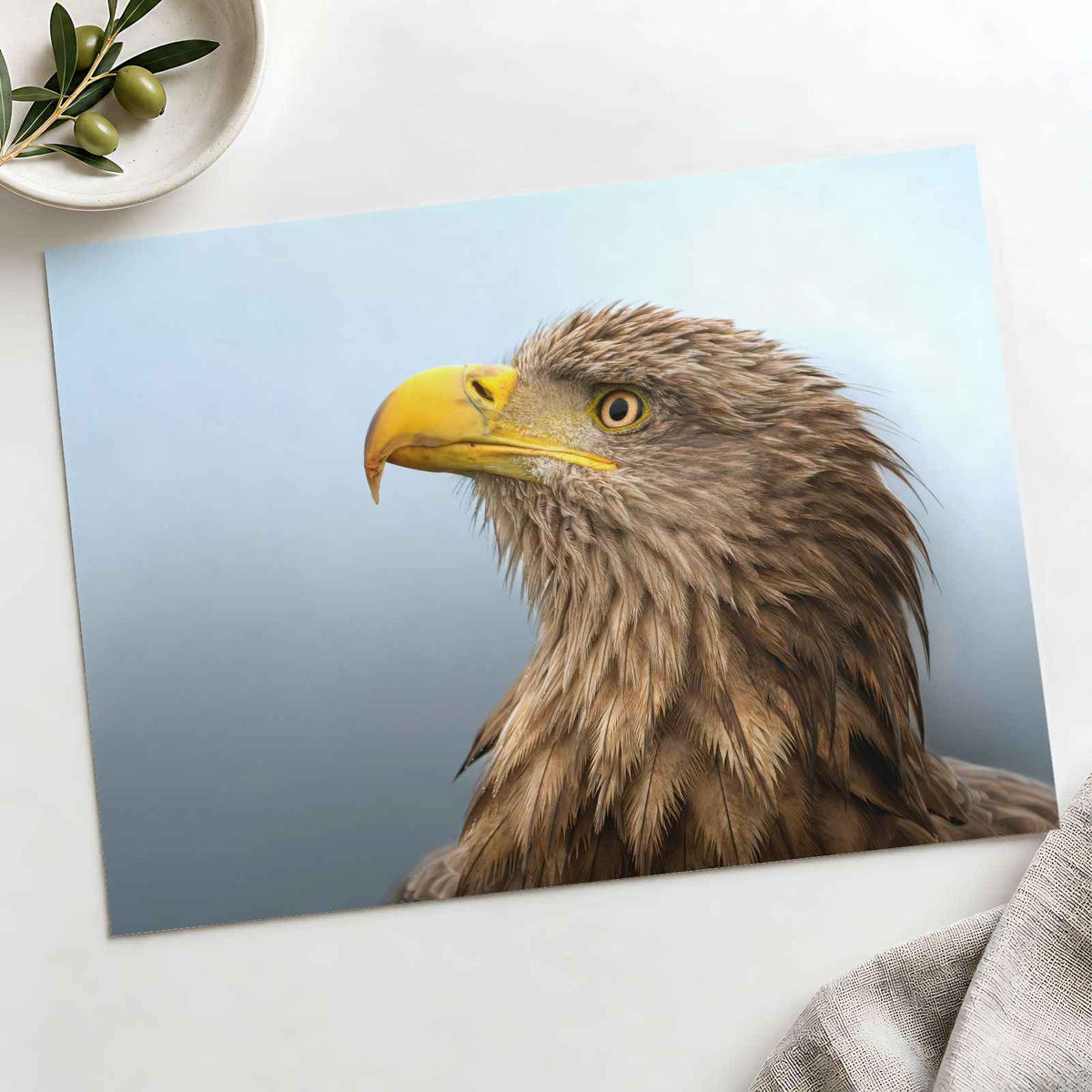 White-Tailed Eagle Photographic Art Print (7 Sizes) - Crisp Detail