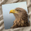 White-Tailed Eagle Photographic Art Print (7 Sizes) - Crisp Detail