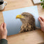 White-Tailed Eagle Photographic Art Print (7 Sizes) - Crisp Detail