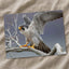Peregrine Falcon on Branch Photography Print (5 Sizes) - Frameable