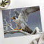 Peregrine Falcon on Branch Photo Print Wall Decor