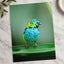 Colorful Bird Perched on Top of Green Leaf Photographic Art Print (7 Sizes)