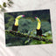 Two Toucans Sitting on Branch in Rain Photo Print (7 Sizes) - Crisp Detail