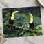 Two Toucans Sitting on Branch in Rain by Zdeněk Macháček Photo Print Wall Decor