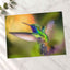 Colorful Hummingbird Flying Photo Wall Art (7 Sizes) - Frameable