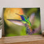 Colorful Hummingbird Flying Photo Wall Art (7 Sizes) - Frameable