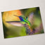 Colorful Hummingbird Flying Photo Wall Art (7 Sizes) - Frameable