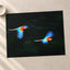 Two Colorful Macaws Flying Through the Jungle Photo Wall Art (7 Sizes)