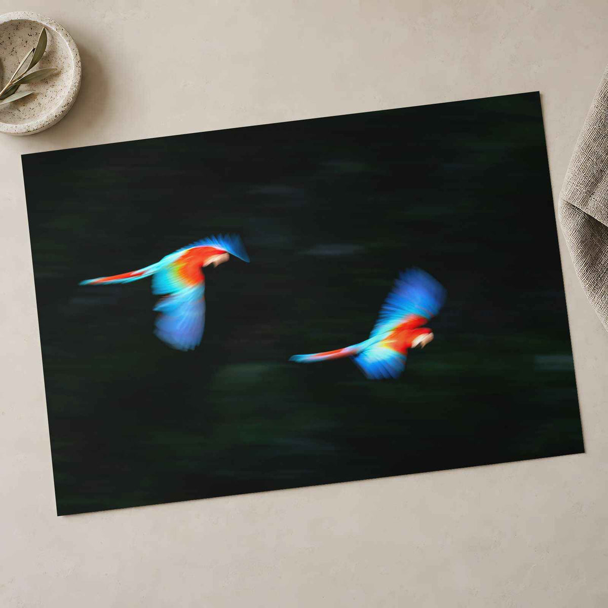 Two Colorful Macaws Flying Through the Jungle Photo Wall Art (7 Sizes)