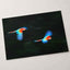 Two Colorful Macaws Flying Through the Jungle Photo Wall Art (7 Sizes)