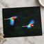 Two Colorful Macaws Flying Through the Jungle Photo Wall Art (7 Sizes)