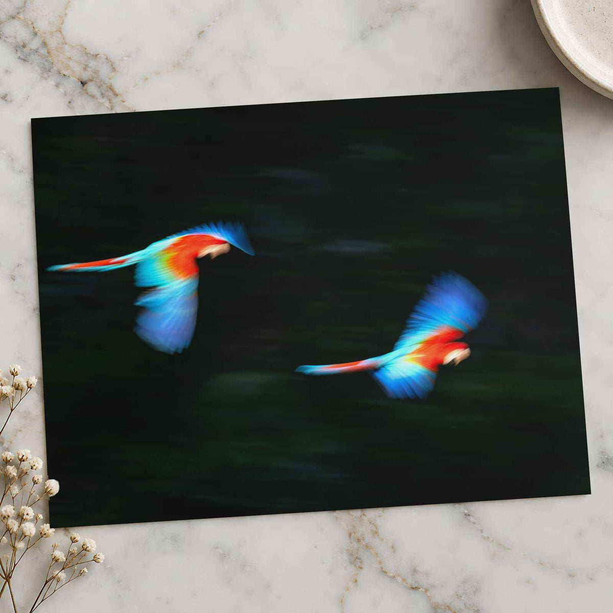 Two Colorful Macaws Flying Through the Jungle Photo Wall Art (7 Sizes)