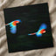 Two Colorful Macaws Flying Through the Jungle Photo Wall Art (7 Sizes)