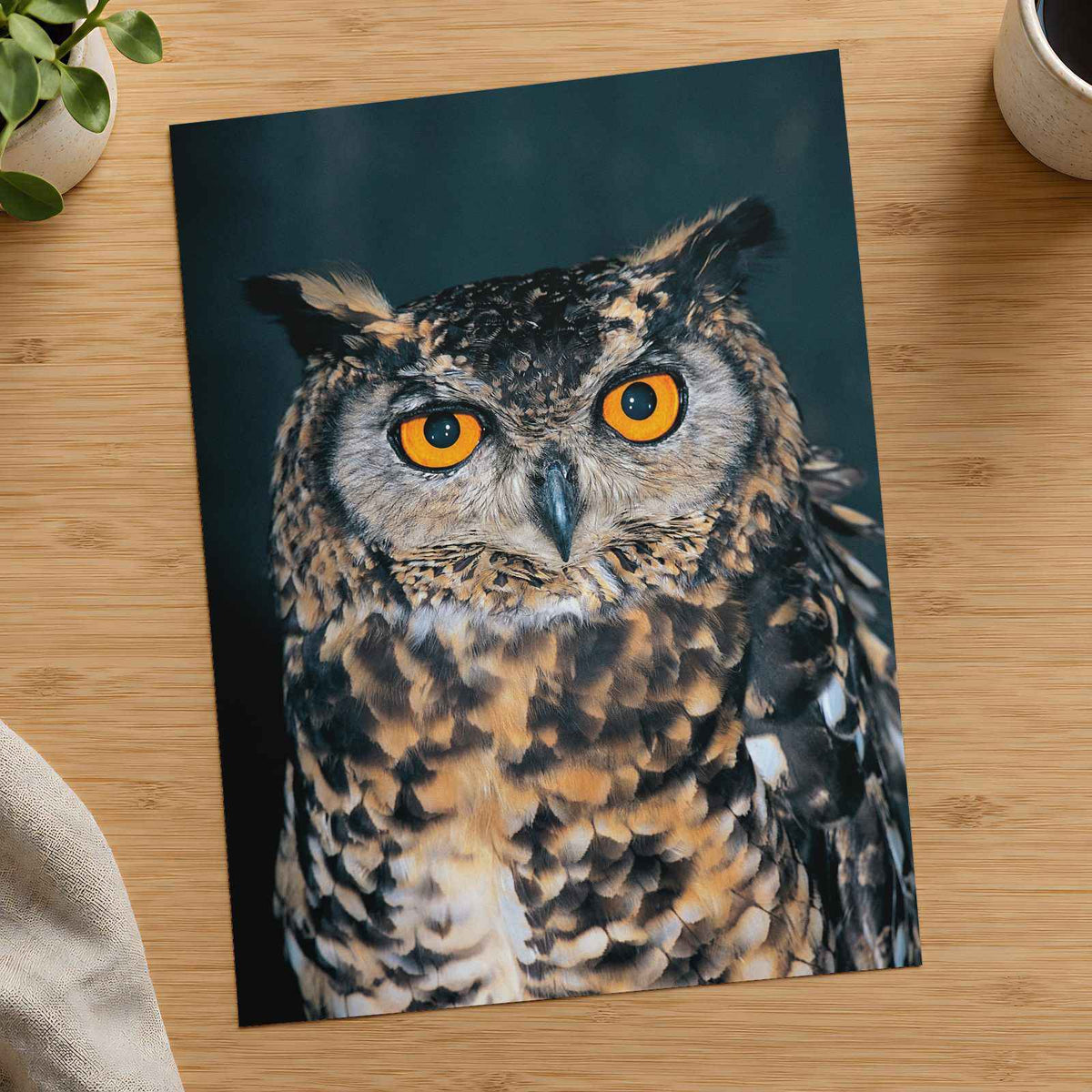 Close Up of Owl with Orange Eyes Photo Print (7 Sizes) - Frameable