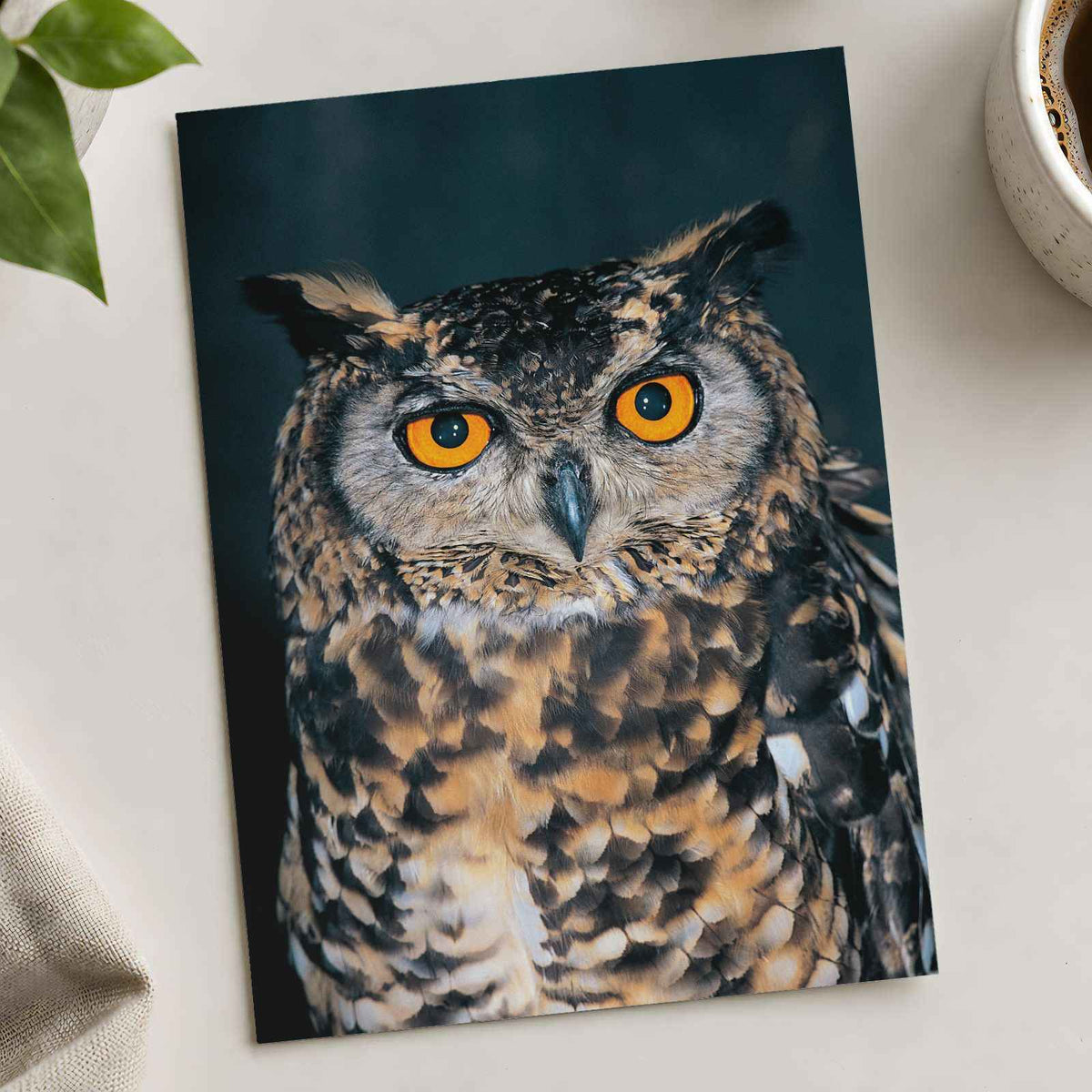 Close Up of Owl with Orange Eyes Photo Print (7 Sizes) - Frameable