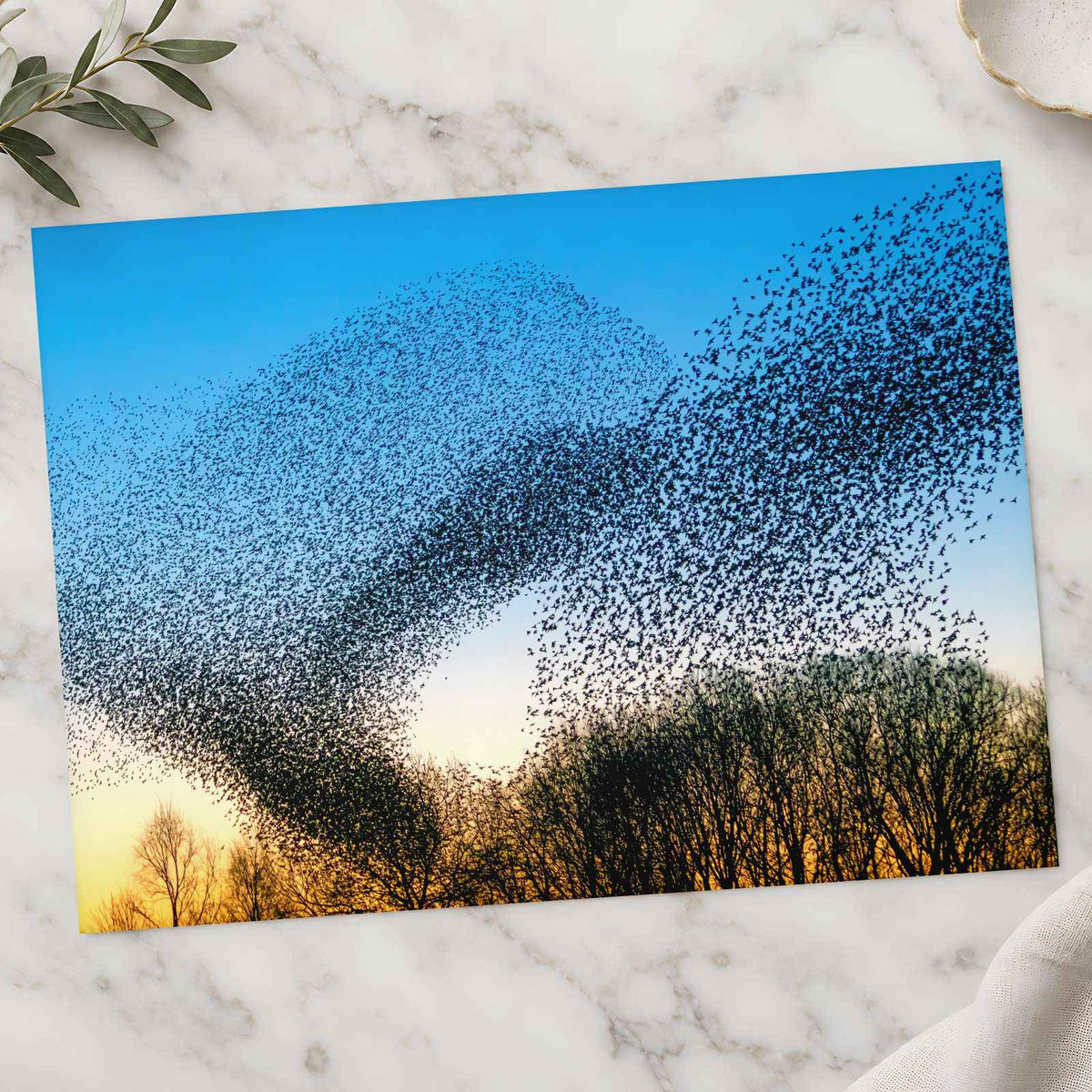 Flock of Starlings at Golden Hour Photo Wall Print (7 Sizes) - Satin Luster