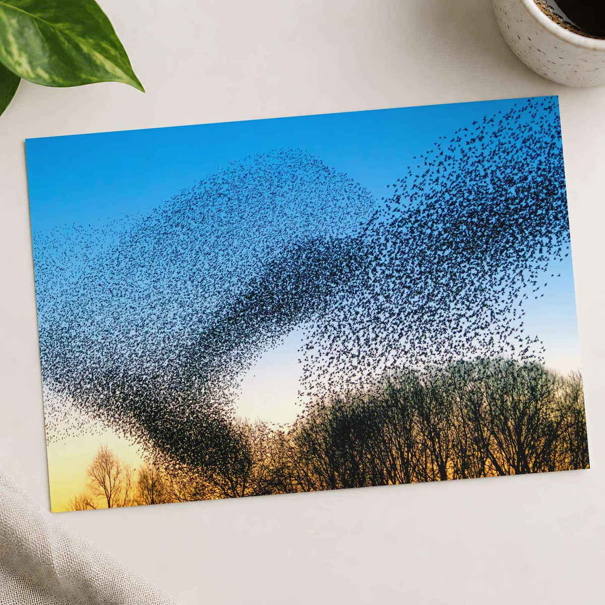 Flock of Starlings at Golden Hour Photo Wall Print (7 Sizes) - Satin Luster