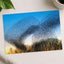 Flock of Starlings at Golden Hour Photo Wall Print (7 Sizes) - Satin Luster