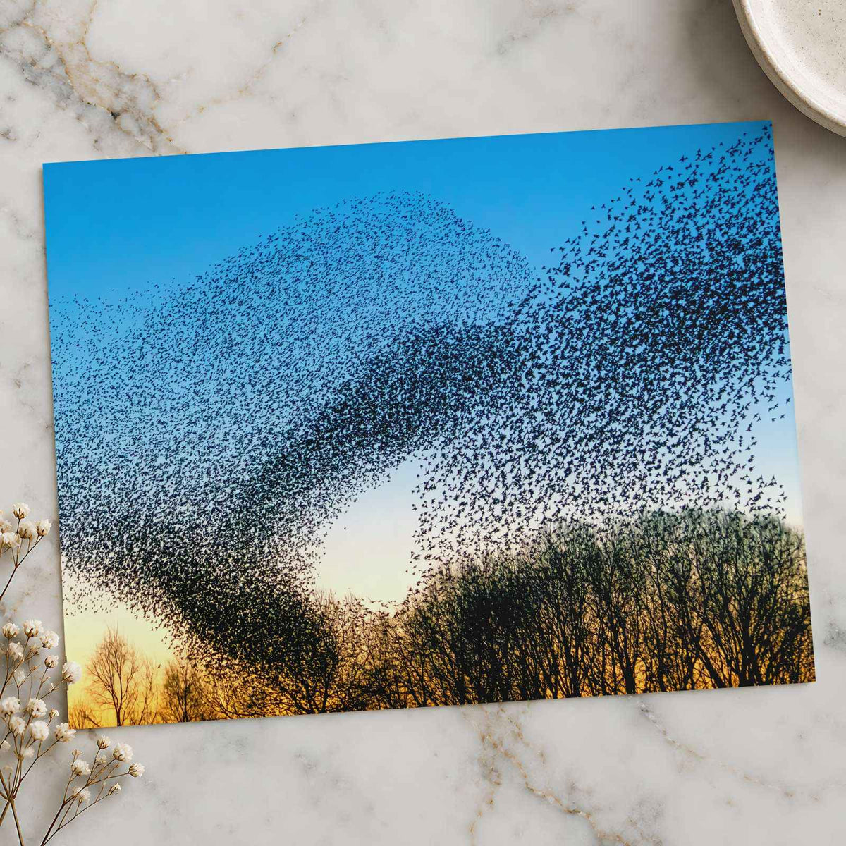 Flock of Starlings at Golden Hour Photo Wall Print (7 Sizes) - Satin Luster